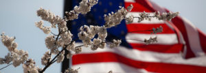American Flag