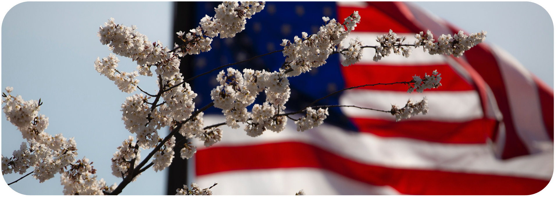 American Flag